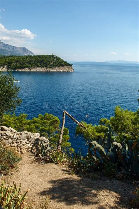 osejava forest park|Makarska